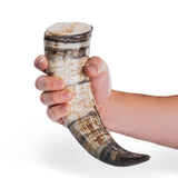 Curved Drinking Horn with Wooden Stand from Norse Tradesman
