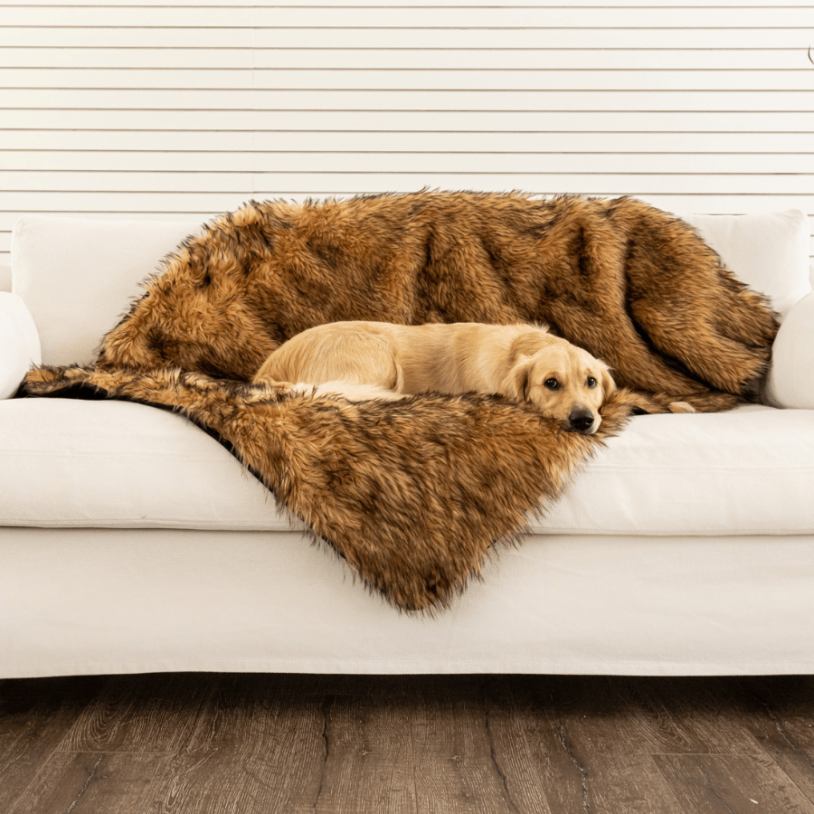PupProtector™ Waterproof Throw Blanket - Sable Tan from Paw.com