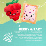 Poptart and Raspberry 2pk from Health Extension