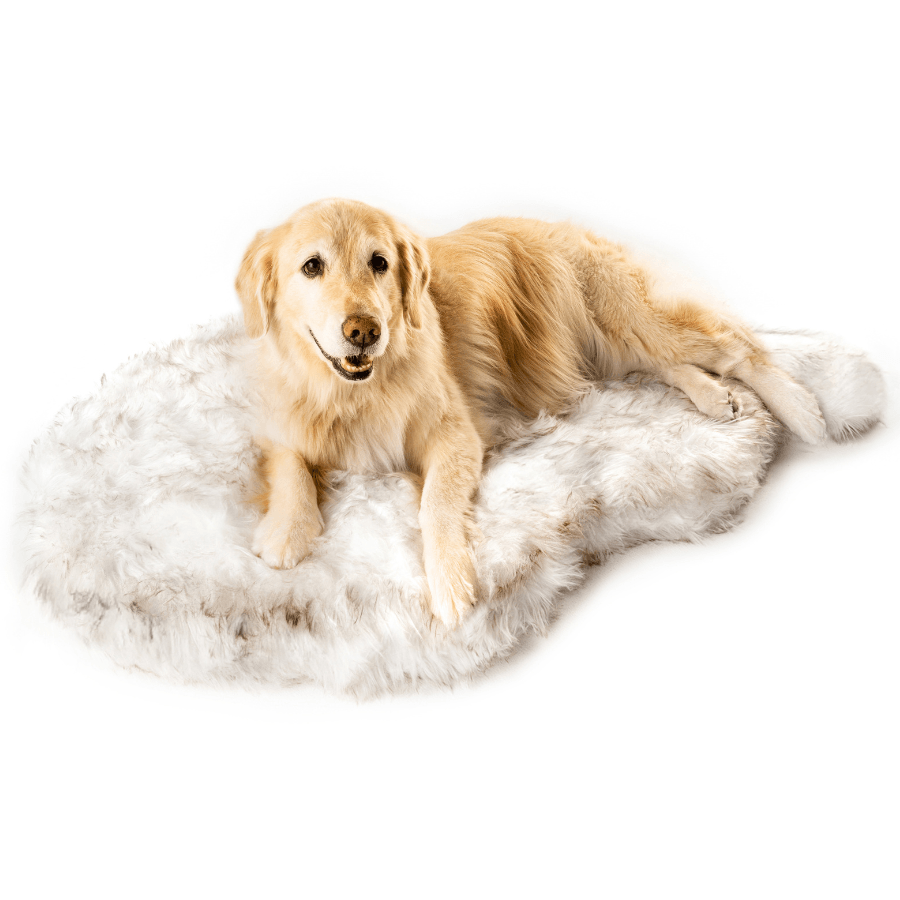 PupRug by Paw.com™ Faux Fur Orthopedic Dog Bed - Curve White with Brown Accents from Paw.com