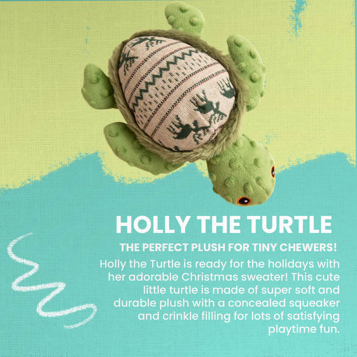Holly the Turtle from Health Extension