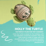 Holly the Turtle from Health Extension