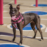 Love Graffiti Red Freedom No-Pull Dog Harness – Earthstyle from 2 Hounds Design