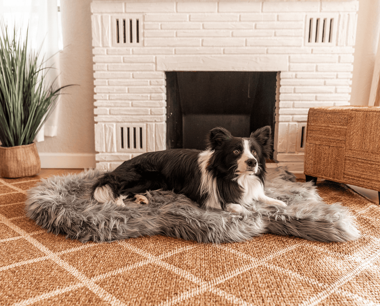 PupRug by Paw.com™ Faux Fur Orthopedic Dog Bed - Curve Charcoal Grey from Paw.com