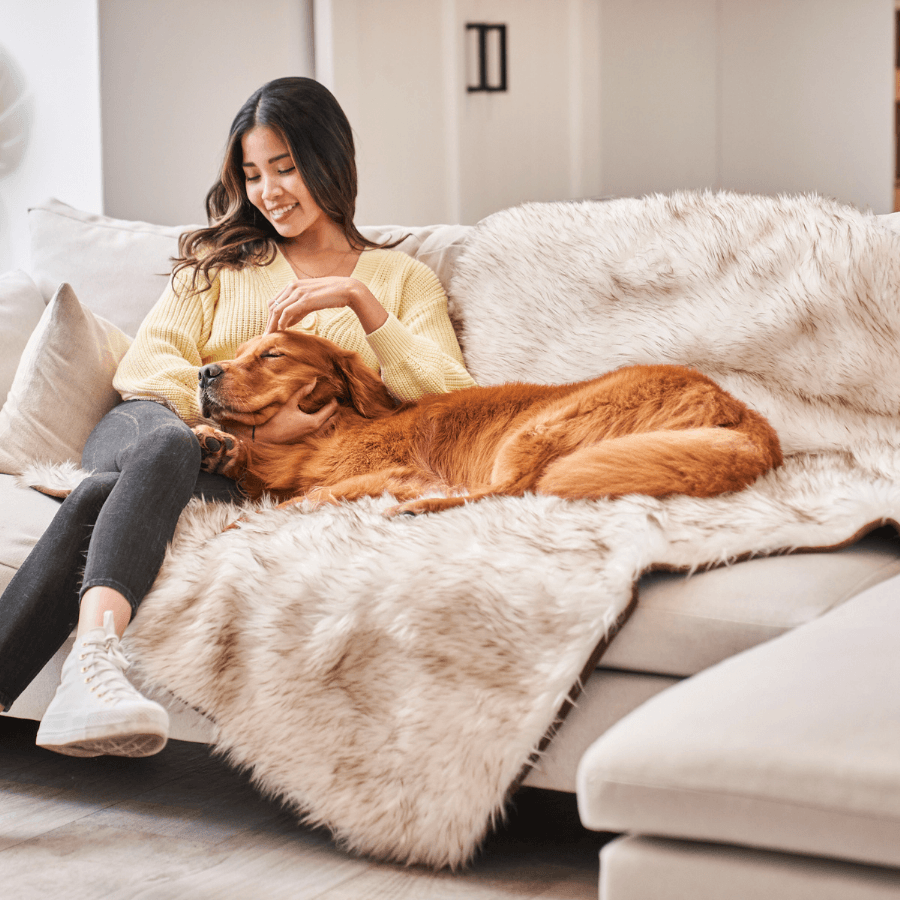 PupProtector™ Waterproof Throw Blanket - White with Brown Accents from Paw.com