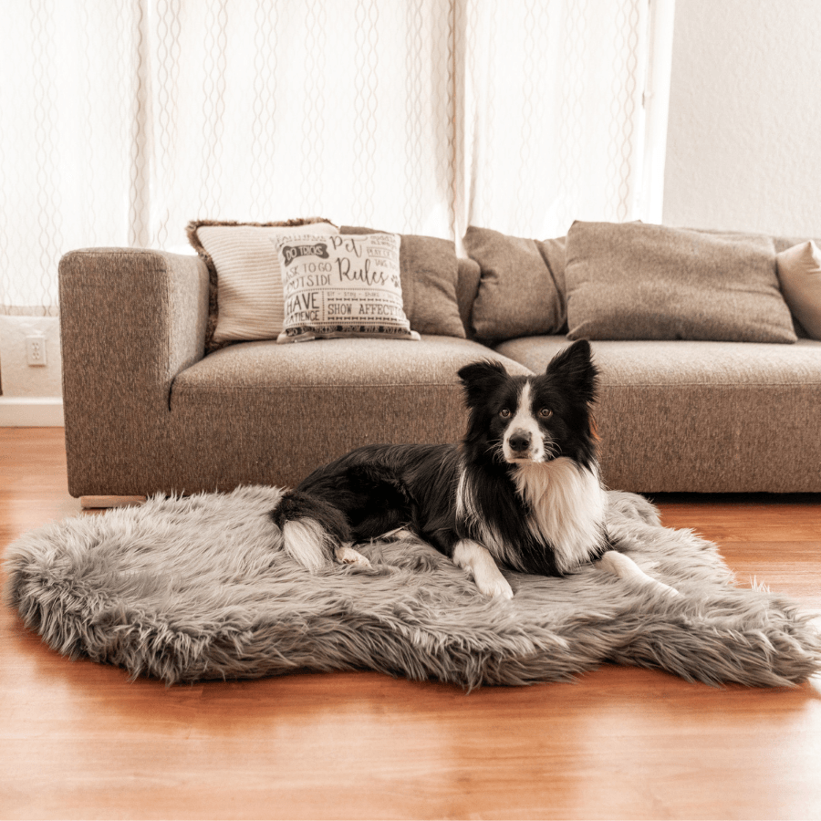 PupRug by Paw.com™ Faux Fur Orthopedic Dog Bed - Curve Charcoal Grey from Paw.com