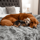 PupProtector™ Waterproof Throw Blanket - Charcoal Grey from Paw.com