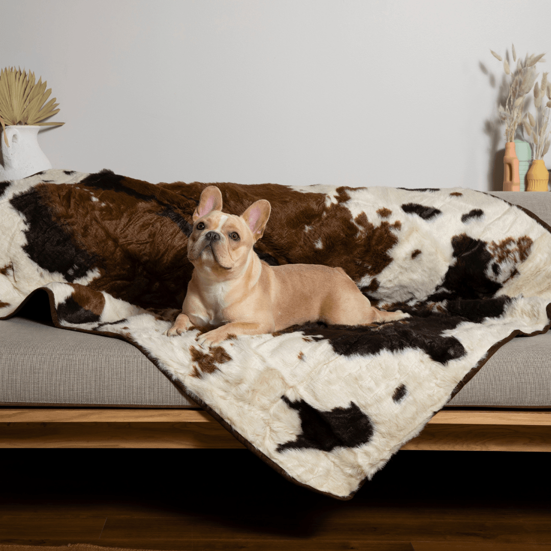 PupProtector™ Waterproof Throw Blanket - Brown Faux Cowhide from Paw.com