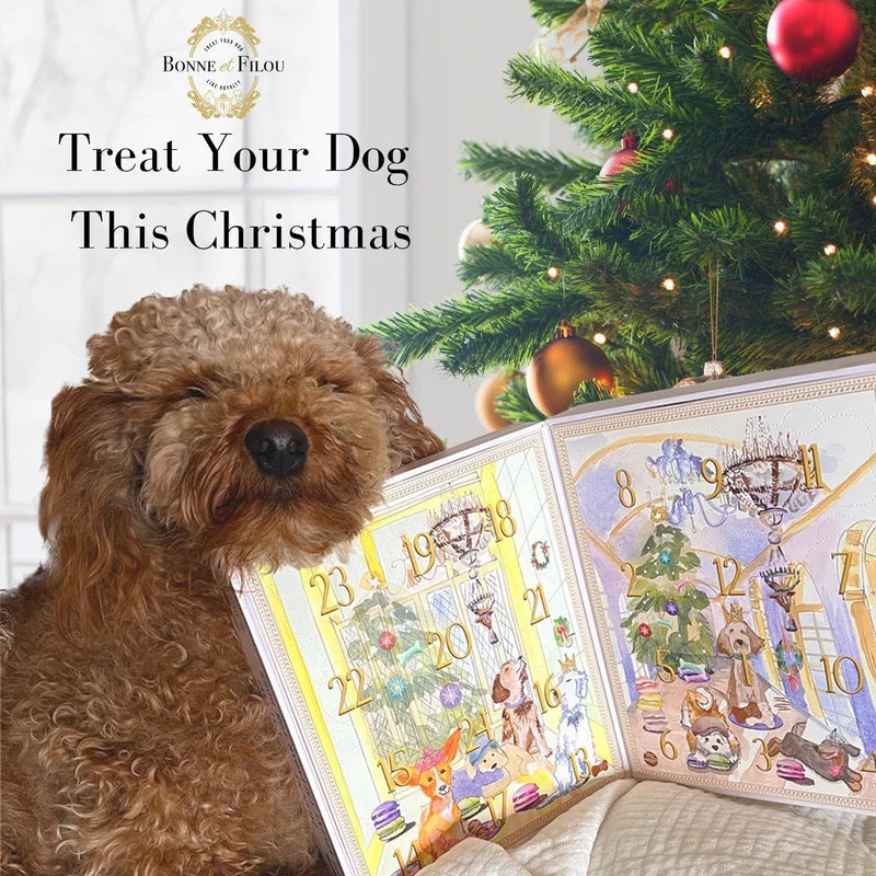 Dog Treats Advent Calendar - 24 Holiday Treats for Dogs from Bonne et Filou