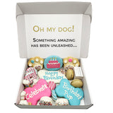 Happy Birthday Dog Treats Gift Box from Bonne et Filou