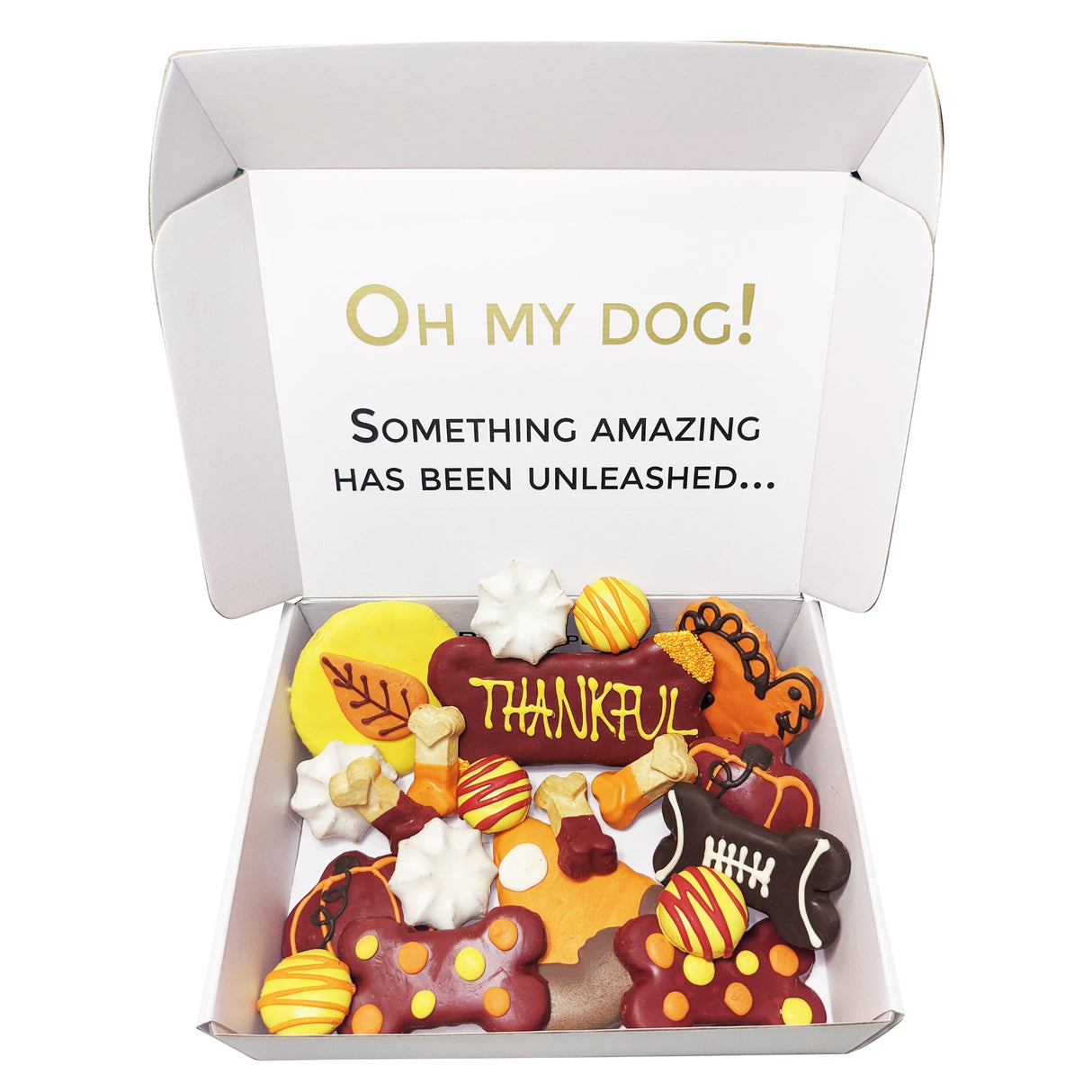 Thankful Themed Dog Treats Gift Box from Bonne et Filou