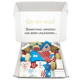USA Themed Dog Treats Gift Box from Bonne et Filou