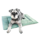 PAWD Crate Pad & Dog bed from KindTail