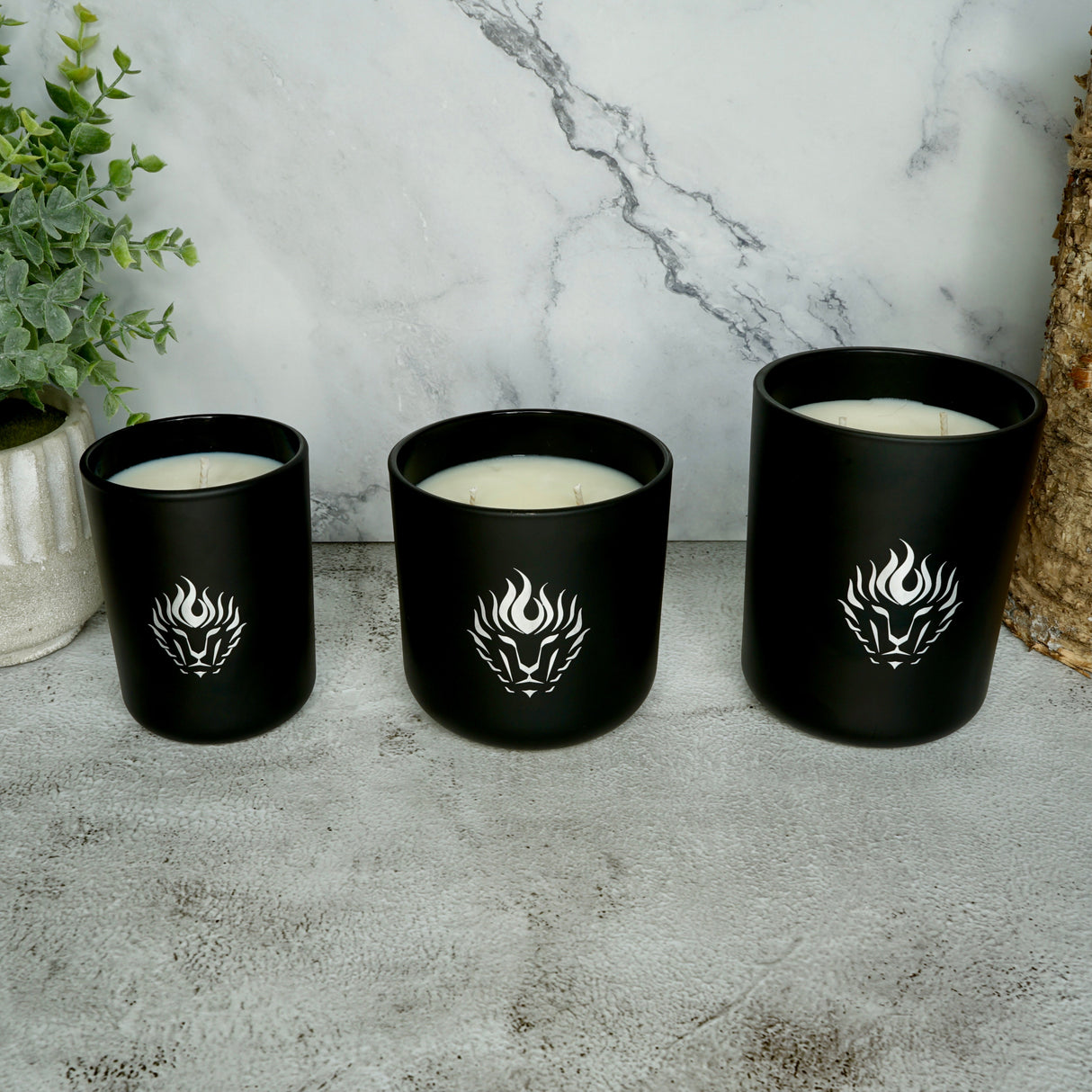Midnight Candle from The Lion's Den Candle Company