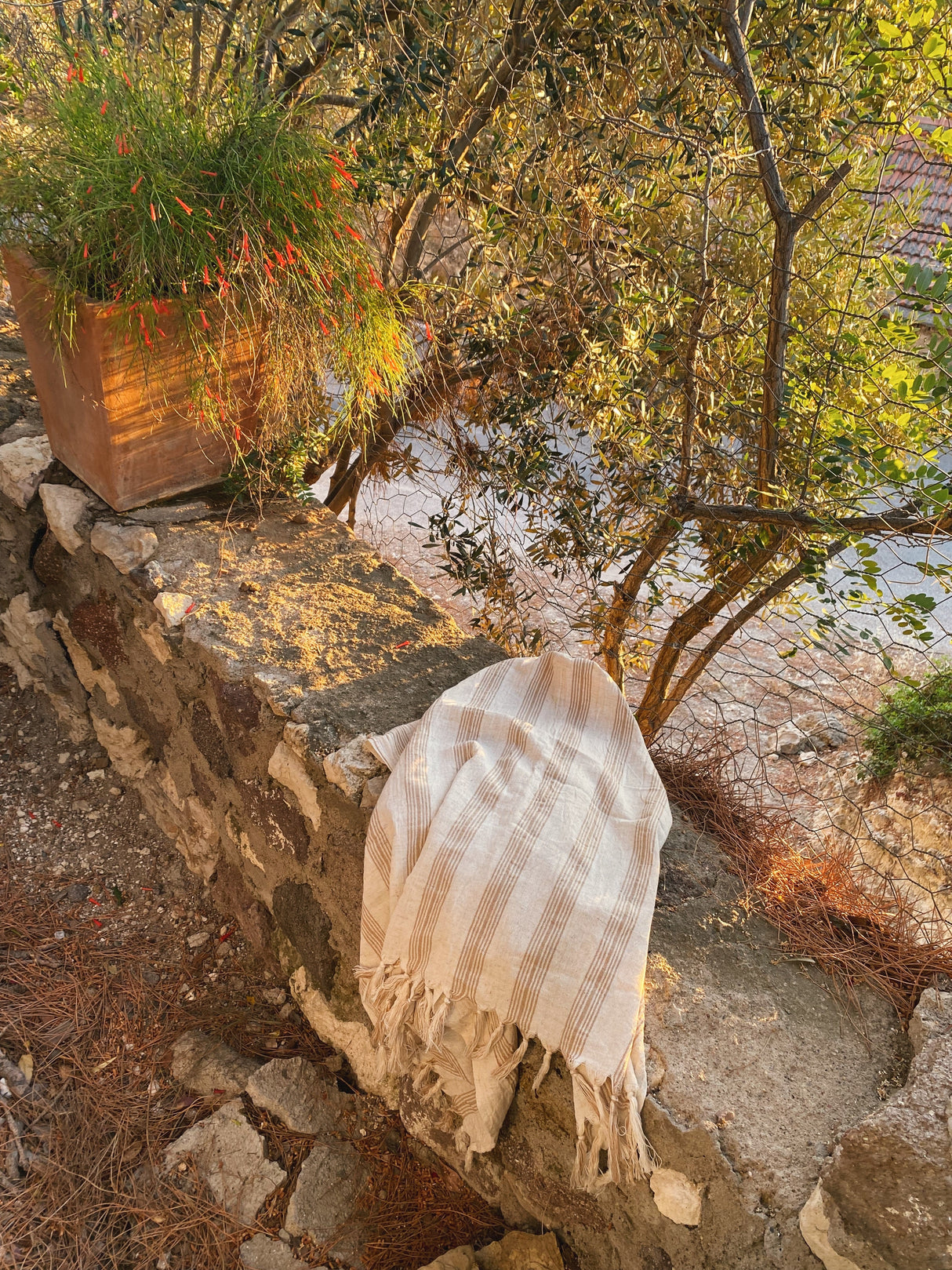 Ciragan Towel from Eastern Woven