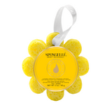Sweet Patchouli | Wild Flower from Spongellé
