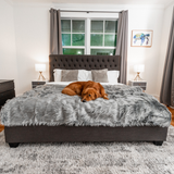 PupCloud™ Human-Size Dog Bed + Matching Waterproof Blanket Bundle - Charcoal Grey from Paw.com