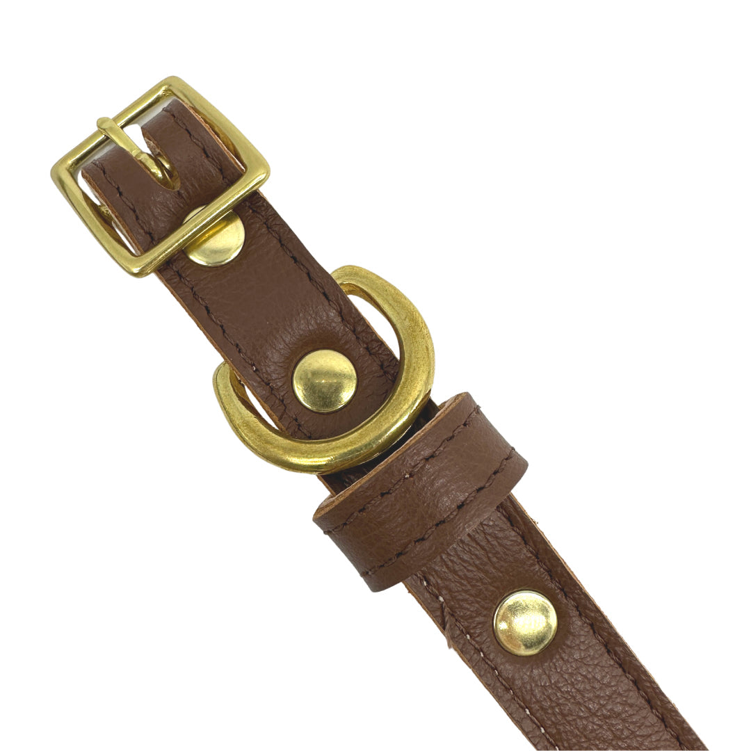 Plain Leather Dog Collar from Bonne et Filou