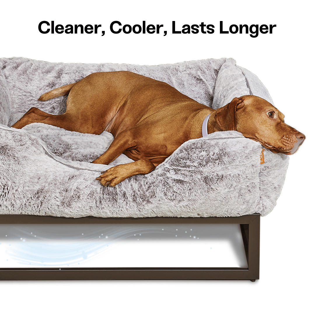 The FÜZI Dog Bed - Faux Fur from FÜZI