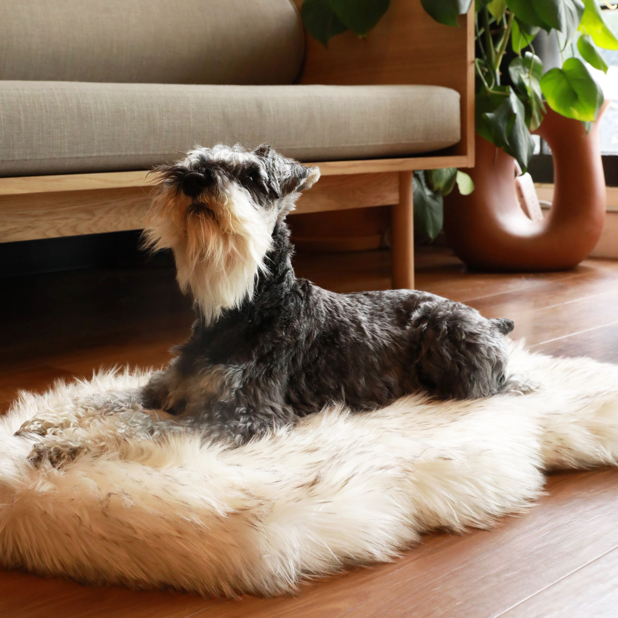 PupRug by Paw.com™ Faux Fur Orthopedic Dog Bed - Curve White with Brown Accents from Paw.com