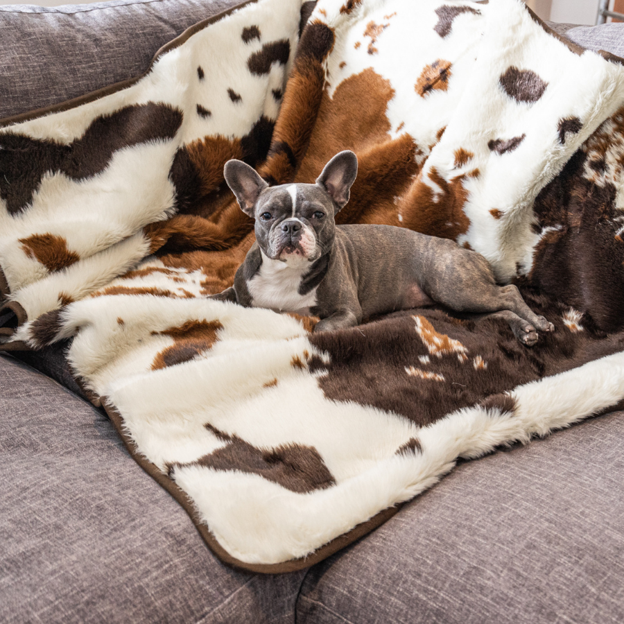 PupProtector™ Waterproof Throw Blanket - Brown Faux Cowhide from Paw.com