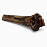 Large Ostrich Cane (11.5" x 5"): The Ultimate Long-Lasting Chew for Medium, Large & XL Dogs from Savannah Pet Food