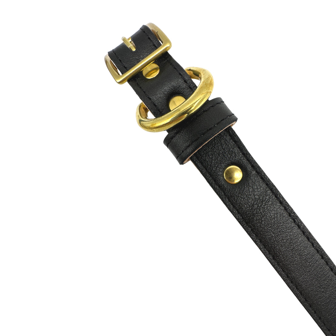 Plain Leather Dog Collar from Bonne et Filou