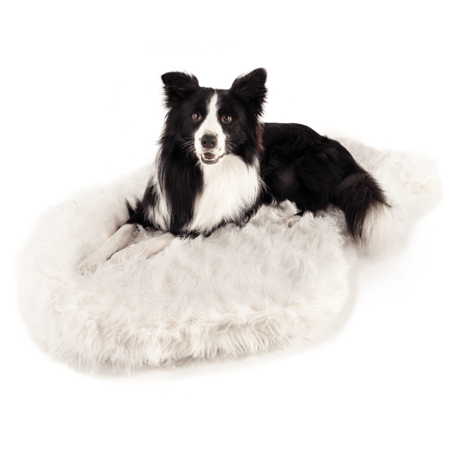 PupRug by Paw.com™ Faux Fur Orthopedic Dog Bed - Curve Polar White from Paw.com