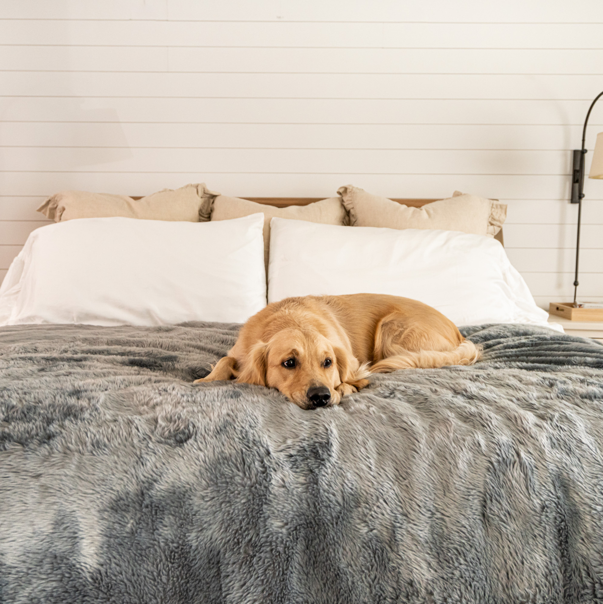 PupProtector™ Summer Short Fur Waterproof Throw Blanket - Charcoal Grey from Paw.com