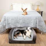 PupChill™ Cooling Bolster Dog Bed + Waterproof Blanket Bundle - Arctic Grey from Paw.com