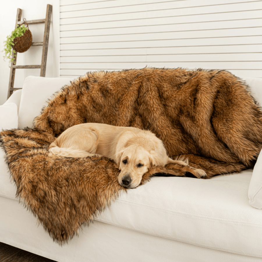 PupProtector™ Waterproof Throw Blanket - Sable Tan from Paw.com