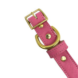 Plain Leather Dog Collar from Bonne et Filou