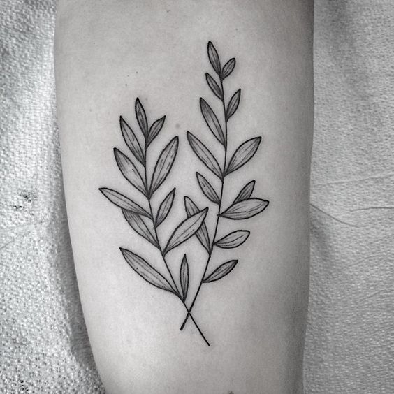 Olive Branch from Wicked Good Perfume