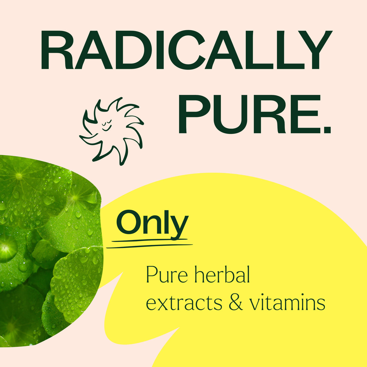 Three-in-one Hair, Skin & Nails Herbal Supplement - 120 Capsules from Plant Therapy