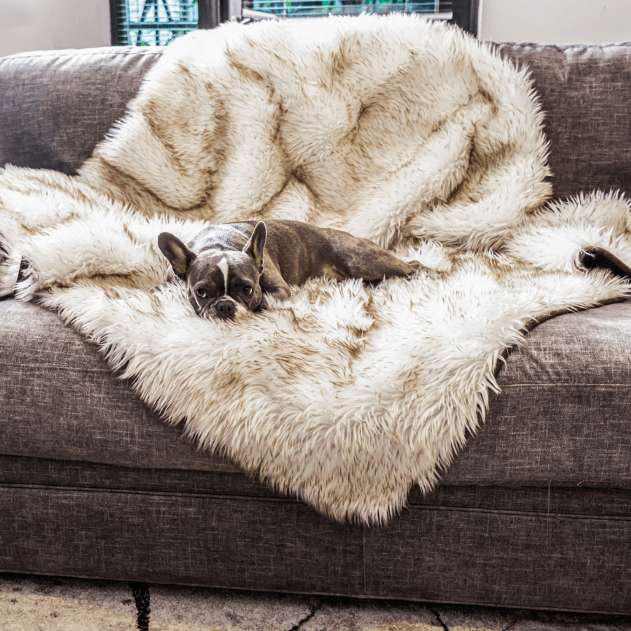 PupProtector™ Waterproof Throw Blanket - White with Brown Accents from Paw.com