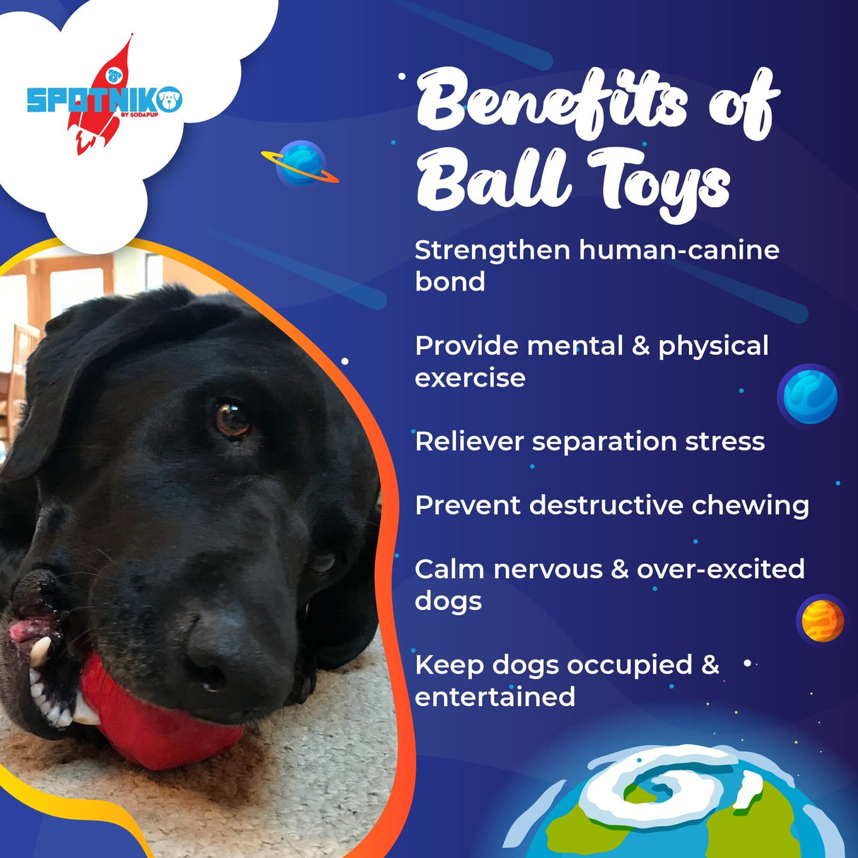 Asteroid Ultra Durable Rubber Chew Toy From SodaPup