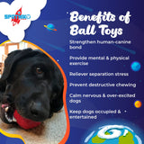 Asteroid Ultra Durable Rubber Chew Toy From SodaPup