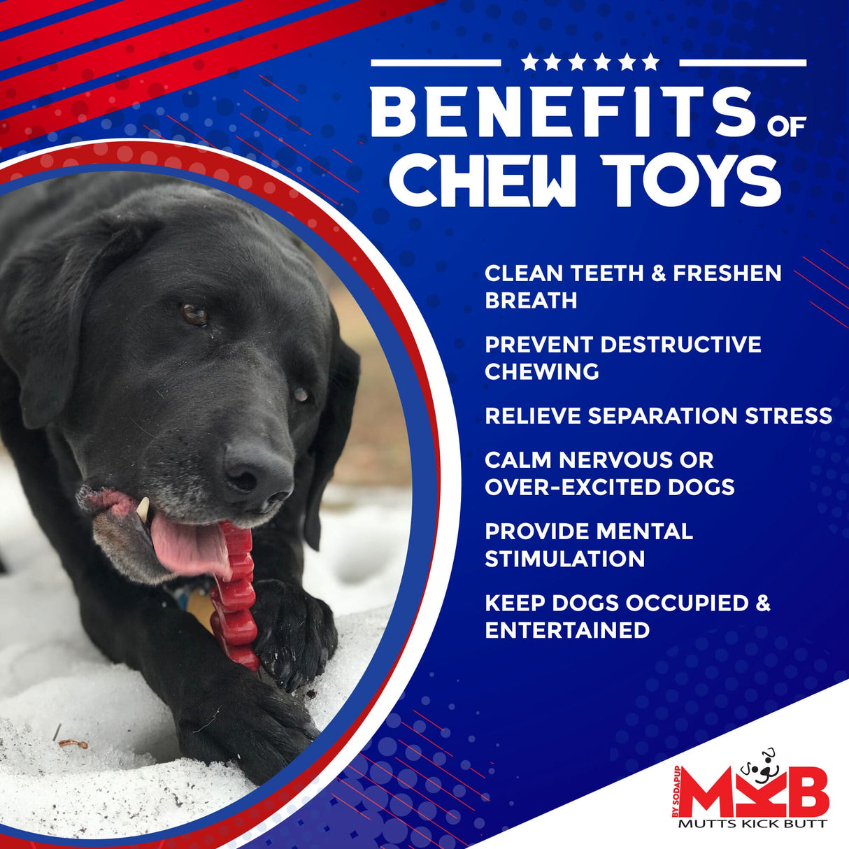 Christmas Tree Ultra Durable Nylon Dog Chew Toy From SodaPup