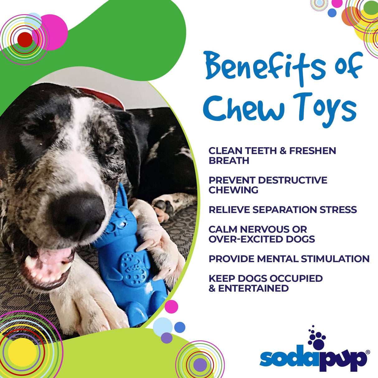 Bunny Durable Nylon Chew and Enrichment Toy From SodaPup
