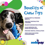 Bunny Durable Nylon Chew and Enrichment Toy From SodaPup