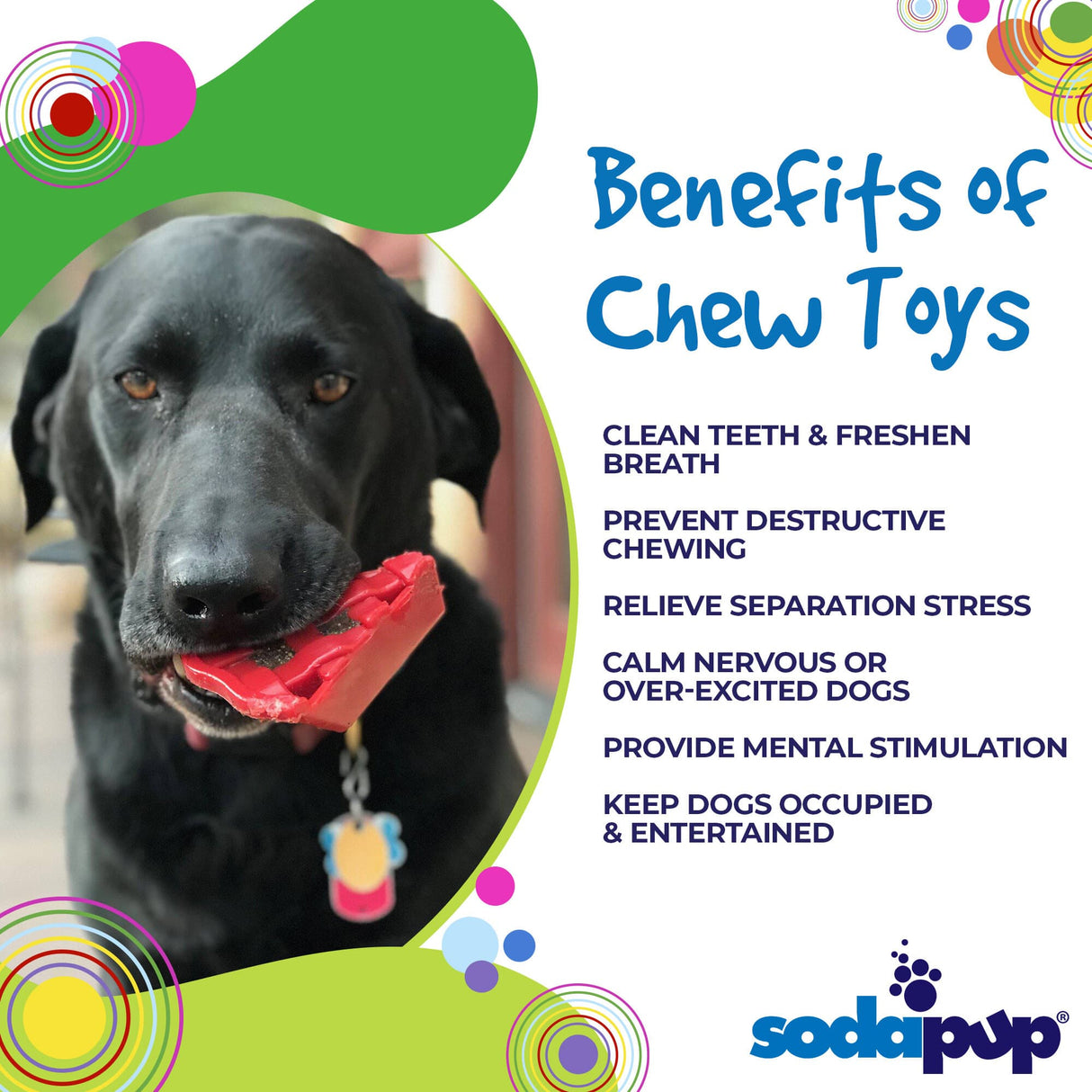 Cherry Pie Ultra Durable Nylon Dog Chew Toy and Treat Holder From SodaPup