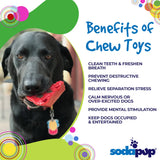 Cherry Pie Ultra Durable Nylon Dog Chew Toy and Treat Holder From SodaPup