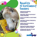 Autumn Design eMat Enrichment Lick Mat From SodaPup