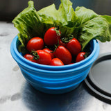 Mr. Peanut's 30oz Collapsible Silicone Camping Bowl with Lid & Foldable Fork from Mr. Peanut's Pet Carriers
