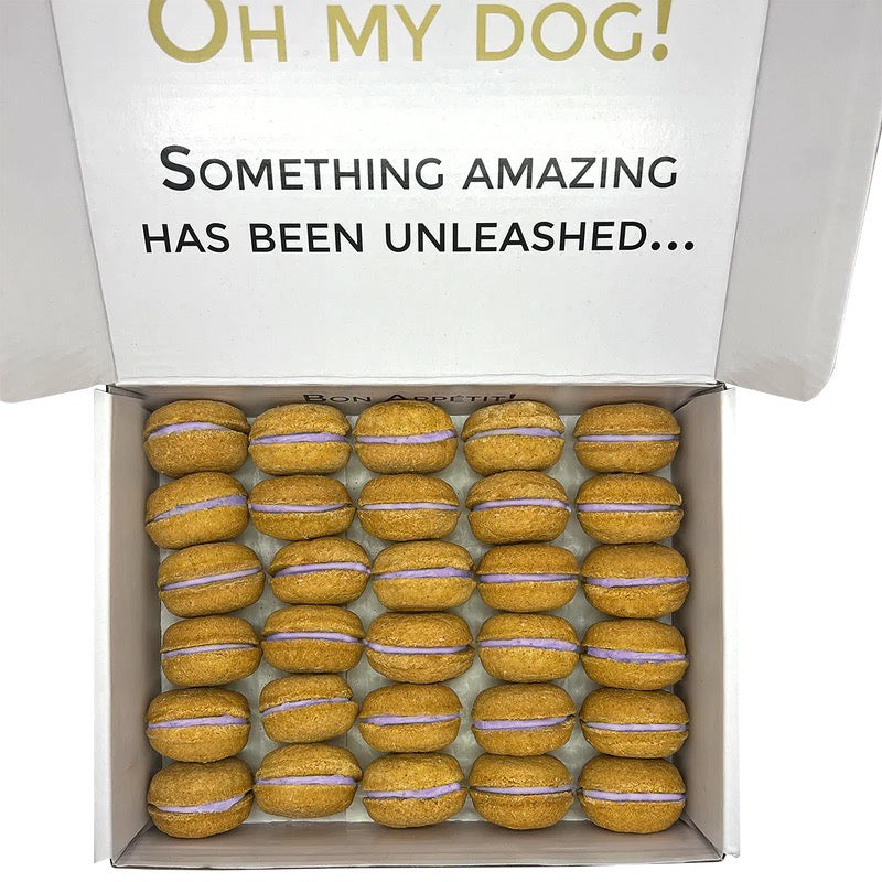 40 Count Dog Macaron Treats Gift Box from Bonne et Filou