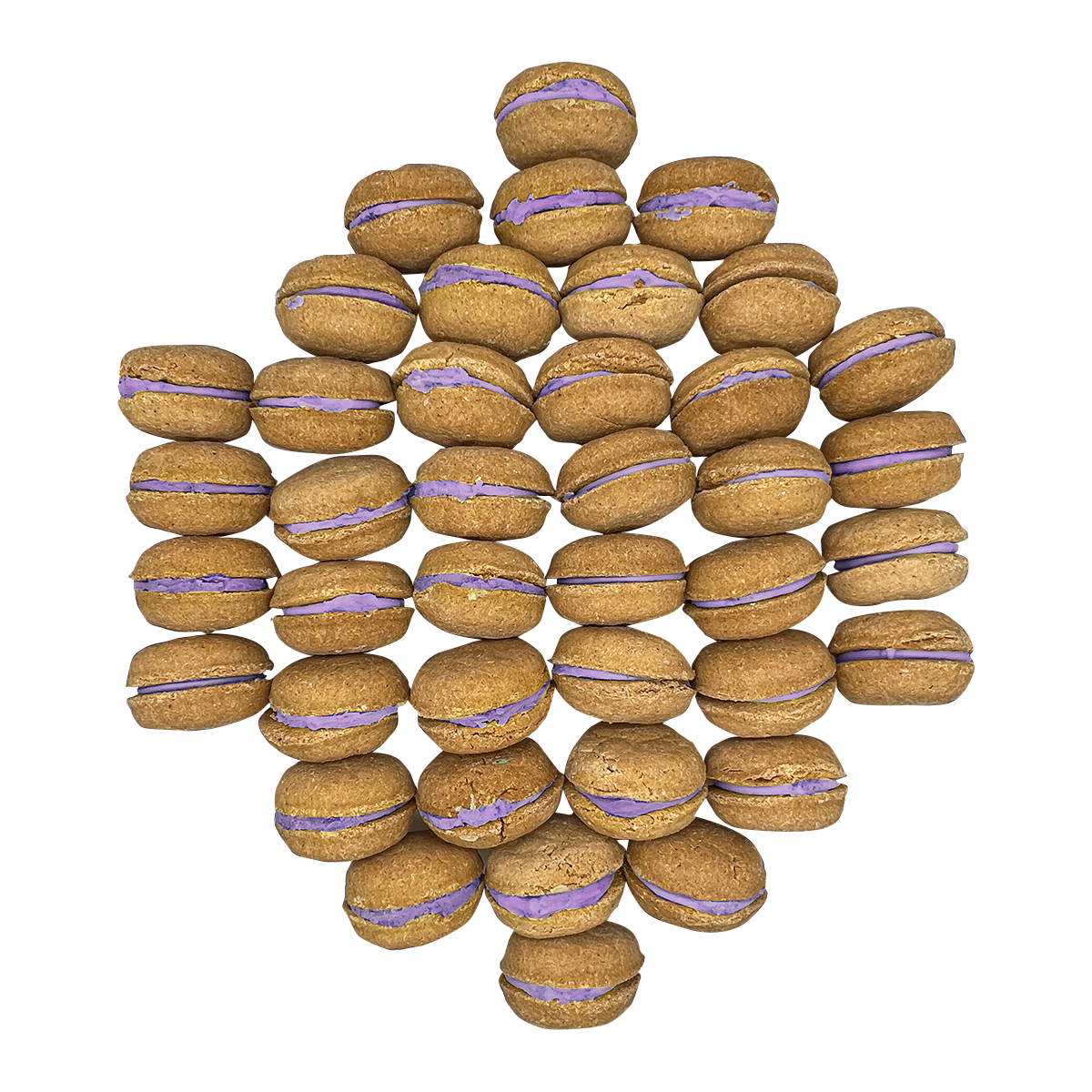 40 Count Dog Macaron Treats Gift Box from Bonne et Filou