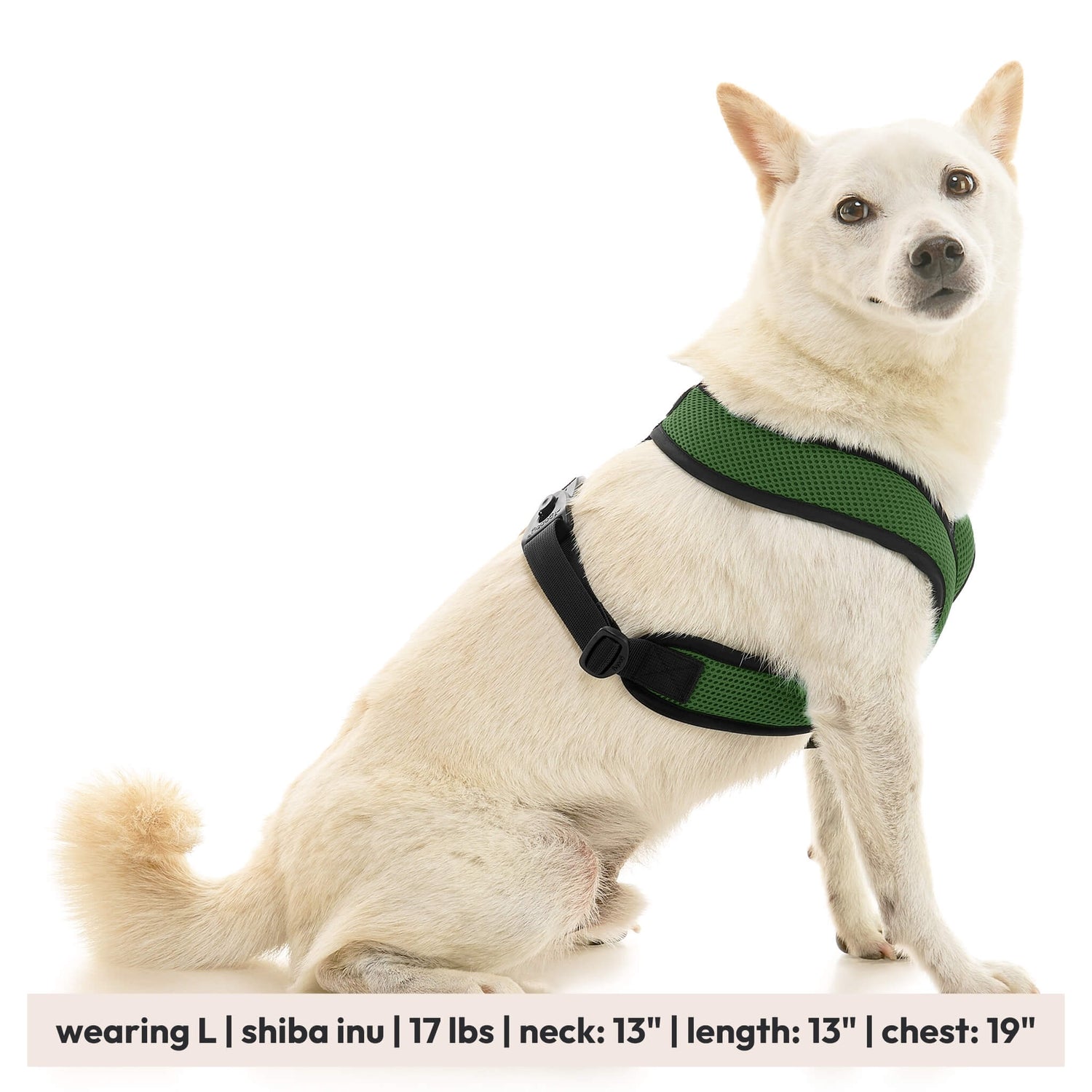 Comfort X Dual Snap Mesh from Gooby