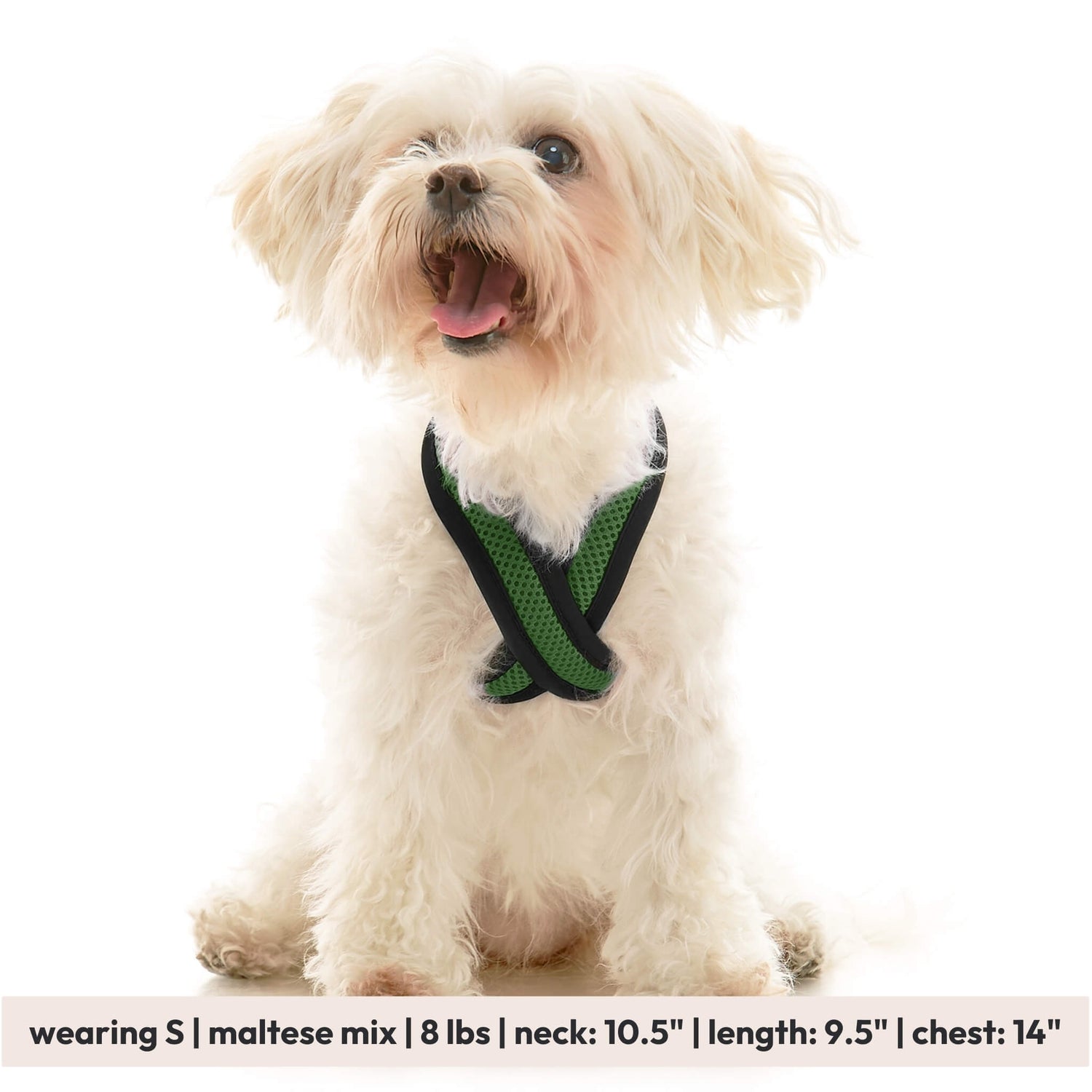 Comfort X Dual Snap Mesh from Gooby