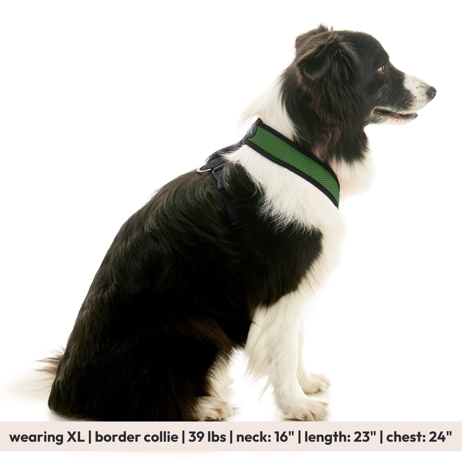 Comfort X Dual Snap Mesh from Gooby