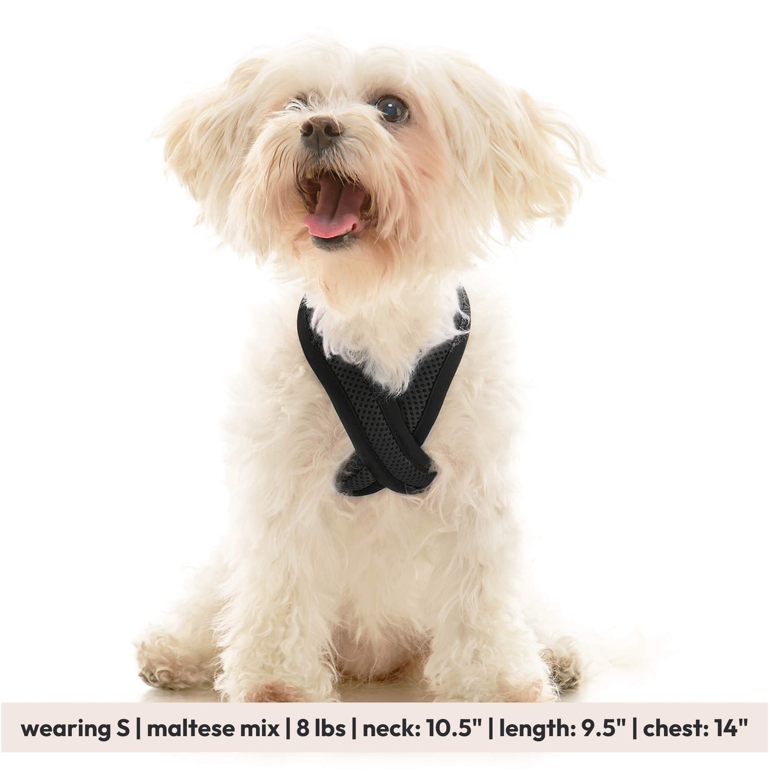 Comfort X Dual Snap Mesh from Gooby